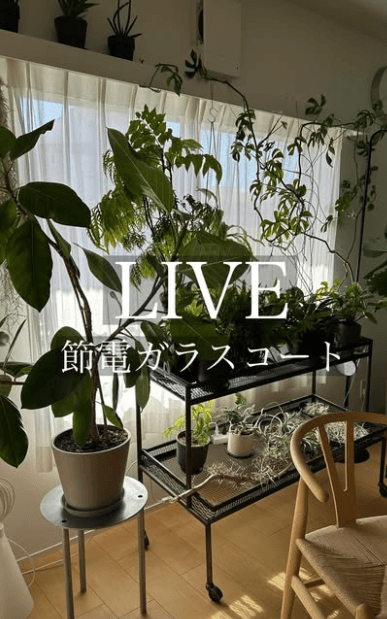 Haruka Ubukata｜House like museum（@ubu_maison）様