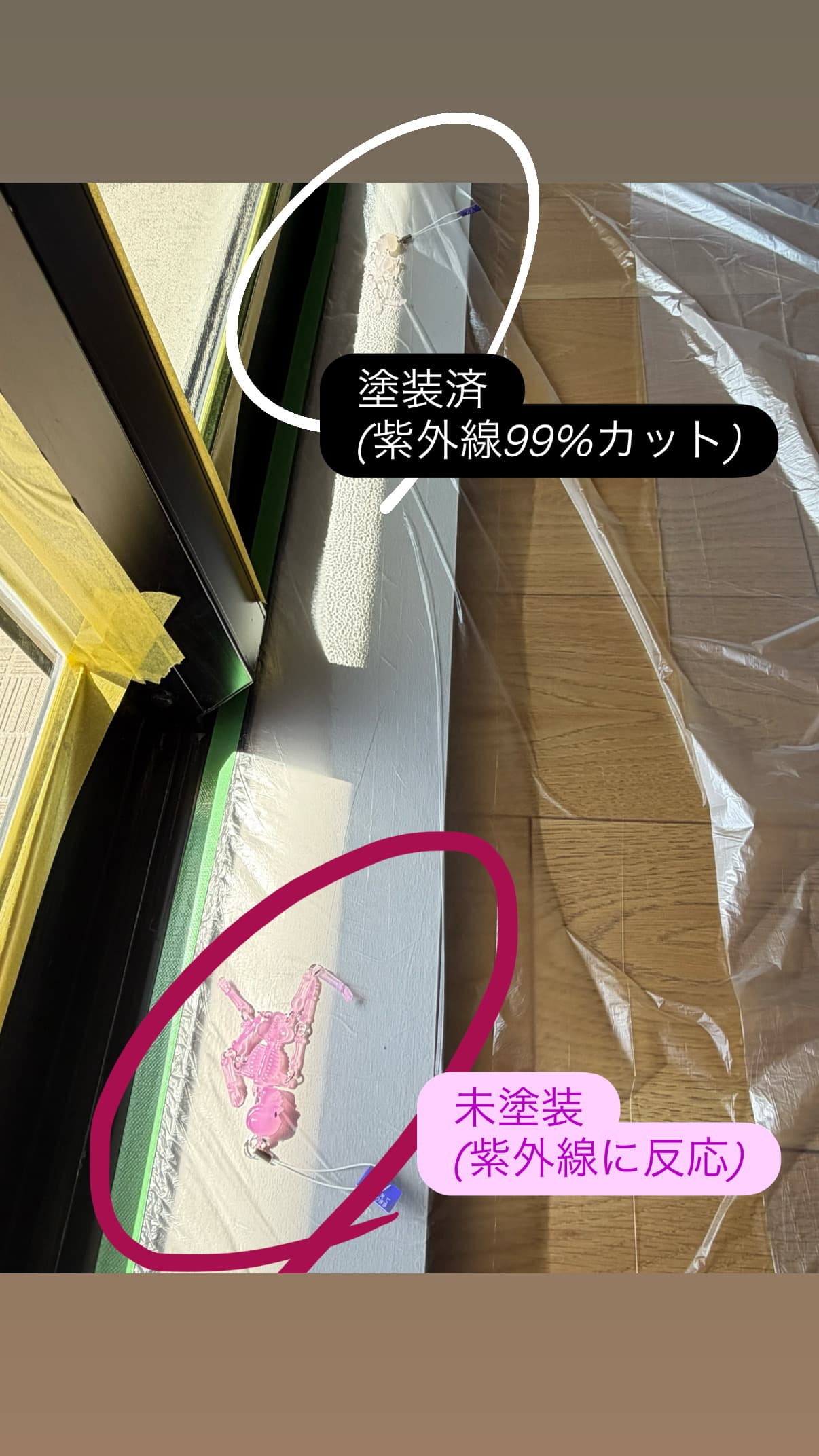 紫外線に反応するガイコツのおもちゃ：塗装済（紫外線99%カット）と未塗装（紫外線に反応）