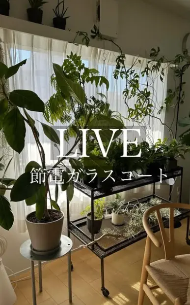 Haruka Ubukata|House like museum(@ubu_maison)様
